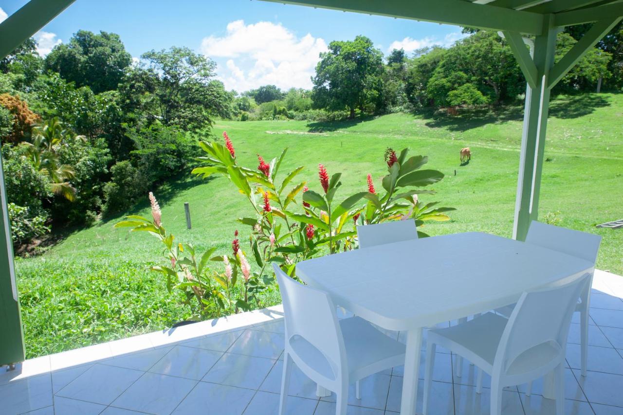 Studio Redshine Villa Sainte-Anne  Dış mekan fotoğraf